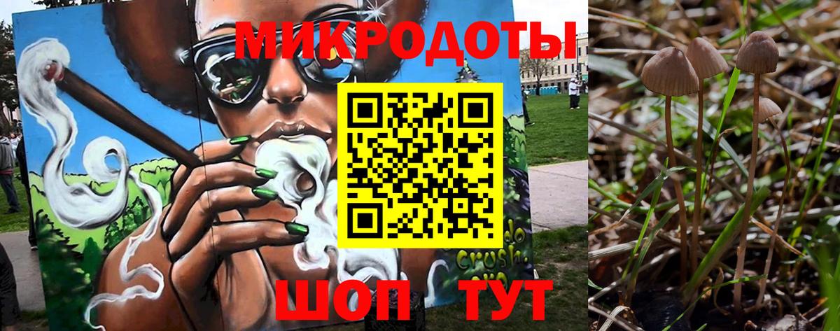 Псилоцибиновые грибы Cubensis Улан-Удэ